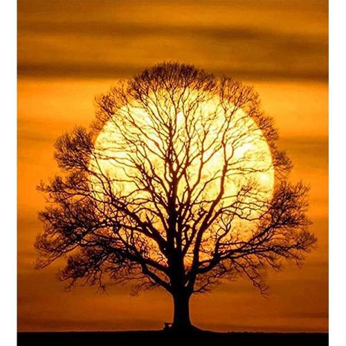 아이윙스-아이윙스 피포페인팅 GX5942 Sunset tree DIY명화그리기 DIY그림그리기