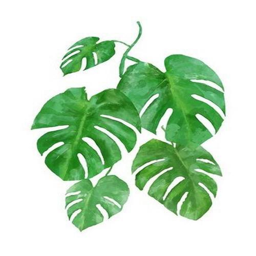 아이윙스-아이윙스 피포페인팅 Q3222 보태니컬 Leaf(잎) DIY명화그리기 DIY그림그리기