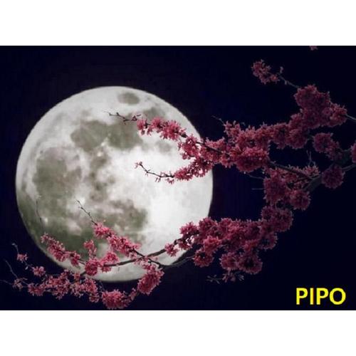 아이윙스-아이윙스 피포페인팅 K100 F 기도 SS2S Moon DIY명화그리기 DIY그림그리기