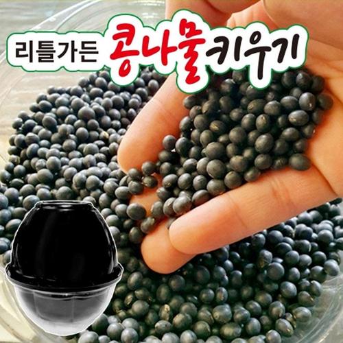 아이윙스-아이윙스 6000 미소 콩나물 키우기 키트 시루세트 재배기