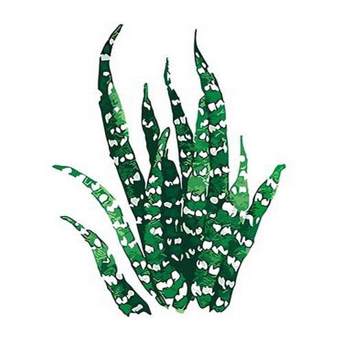 아이윙스-아이윙스 피포페인팅 Q3080 보태니컬 잎 DIY명화그리기 DIY그림그리기